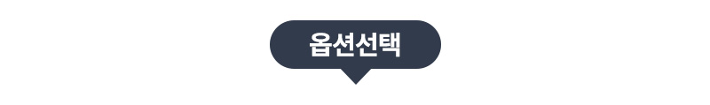 옵션 선택