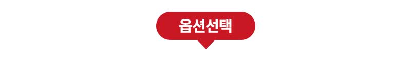 옵션 선택