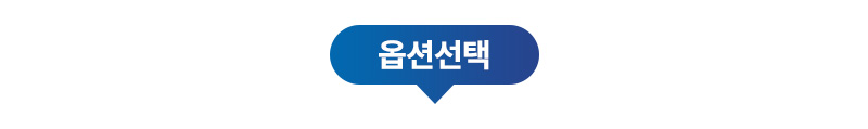 옵션 선택